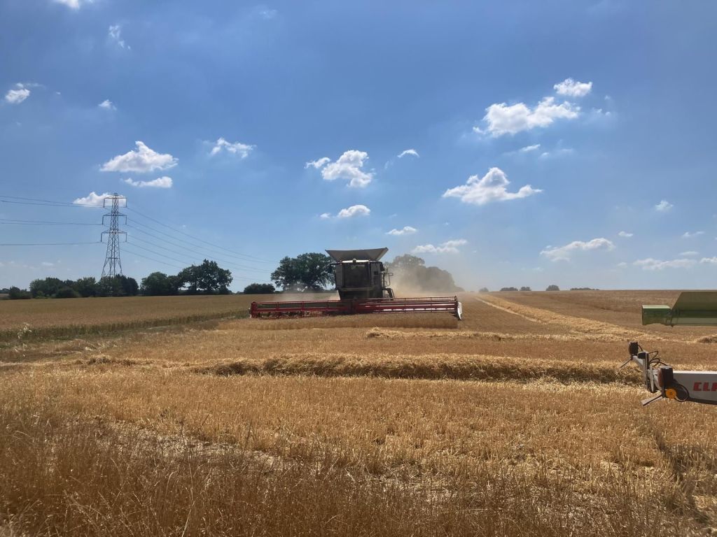Harvest 2025 – the results are&nbsp;in…